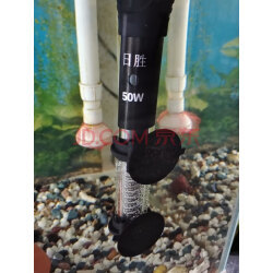 加熱棒海水哪款好？實拍評測助你選購優(yōu)質(zhì)魚缸加熱棒